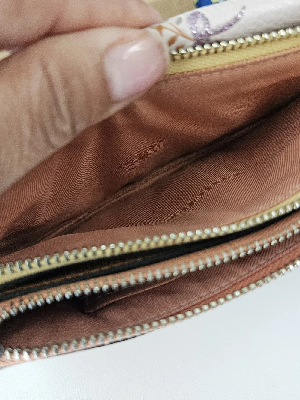 Coach crossbody clutch